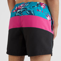 Frame Block Swim Short | Red Multi Stripe