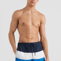 Frame Block Swim Short | Blue Multi 9