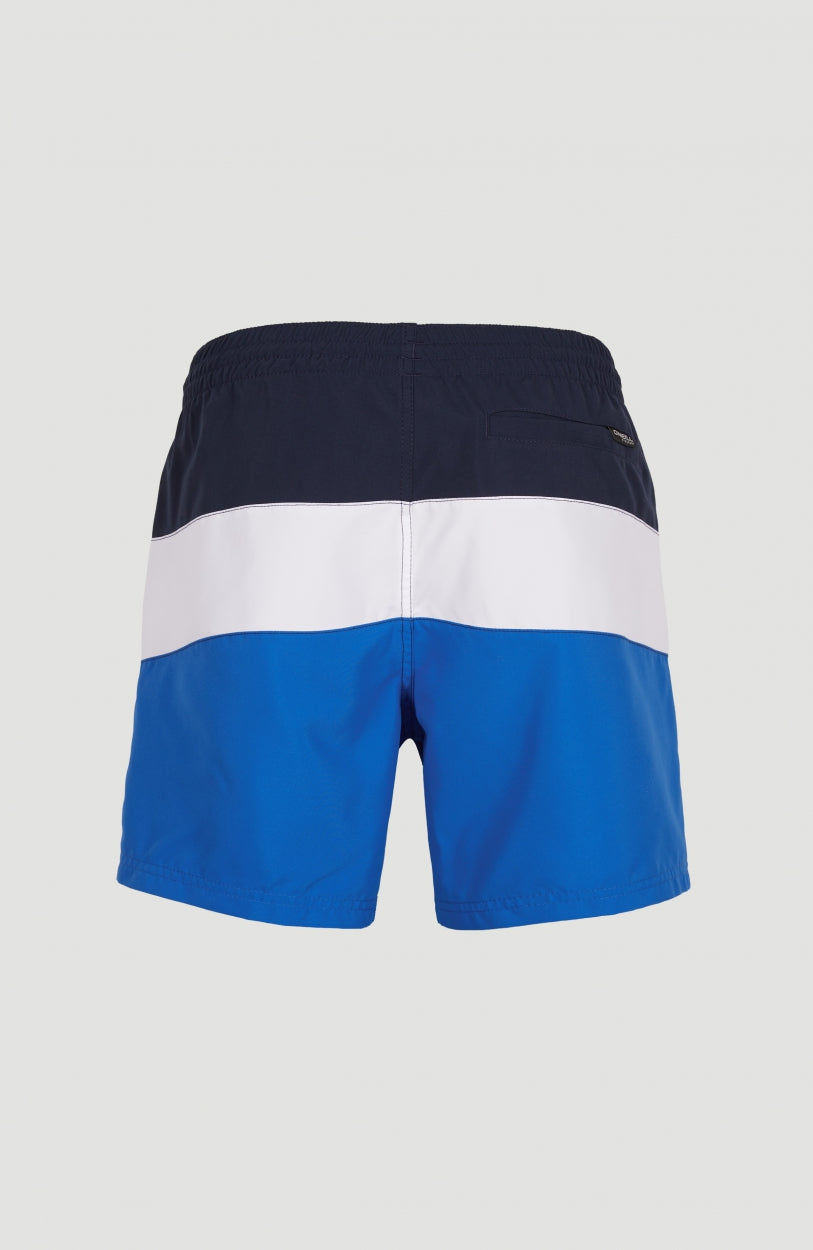 Frame Block Swim Short | Blue Multi 9
