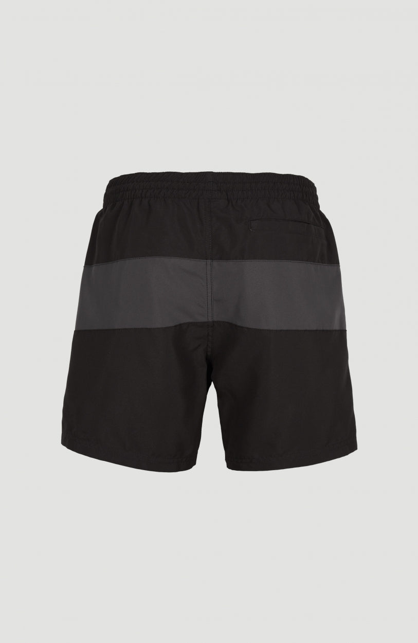 Frame Block Swim Short | Black Multi 6