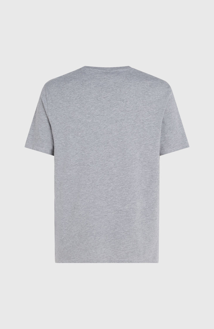 O'Neill Logo T-shirt | Silver Melee -A