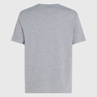 O'Neill Logo T-shirt | Silver Melee -A