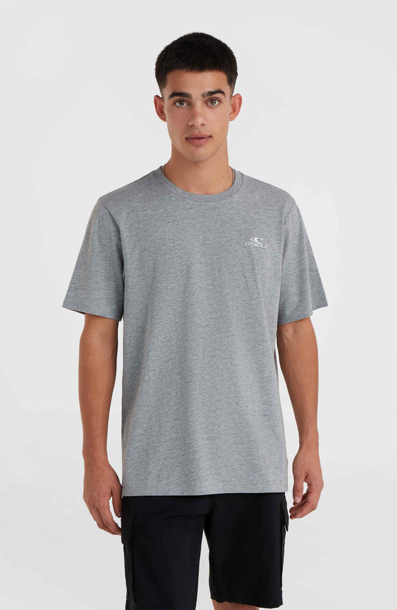 O'Neill Small Logo T-shirt | Silver Melee