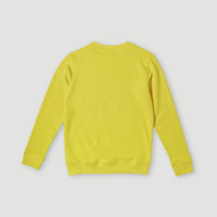 O'Neill Logo Crew sweater | Empire Yellow