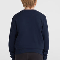 O'Neill Logo Crew sweater | Ink Blue