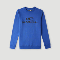 O'Neill Logo Crew sweater | Surf the web Blue