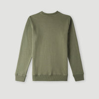 O'Neill Logo Crew sweater | Deep Lichen Green