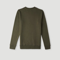 O'Neill Logo Crew sweater | Forest Night