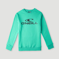 O'Neill Logo Crew sweater | Sea Green