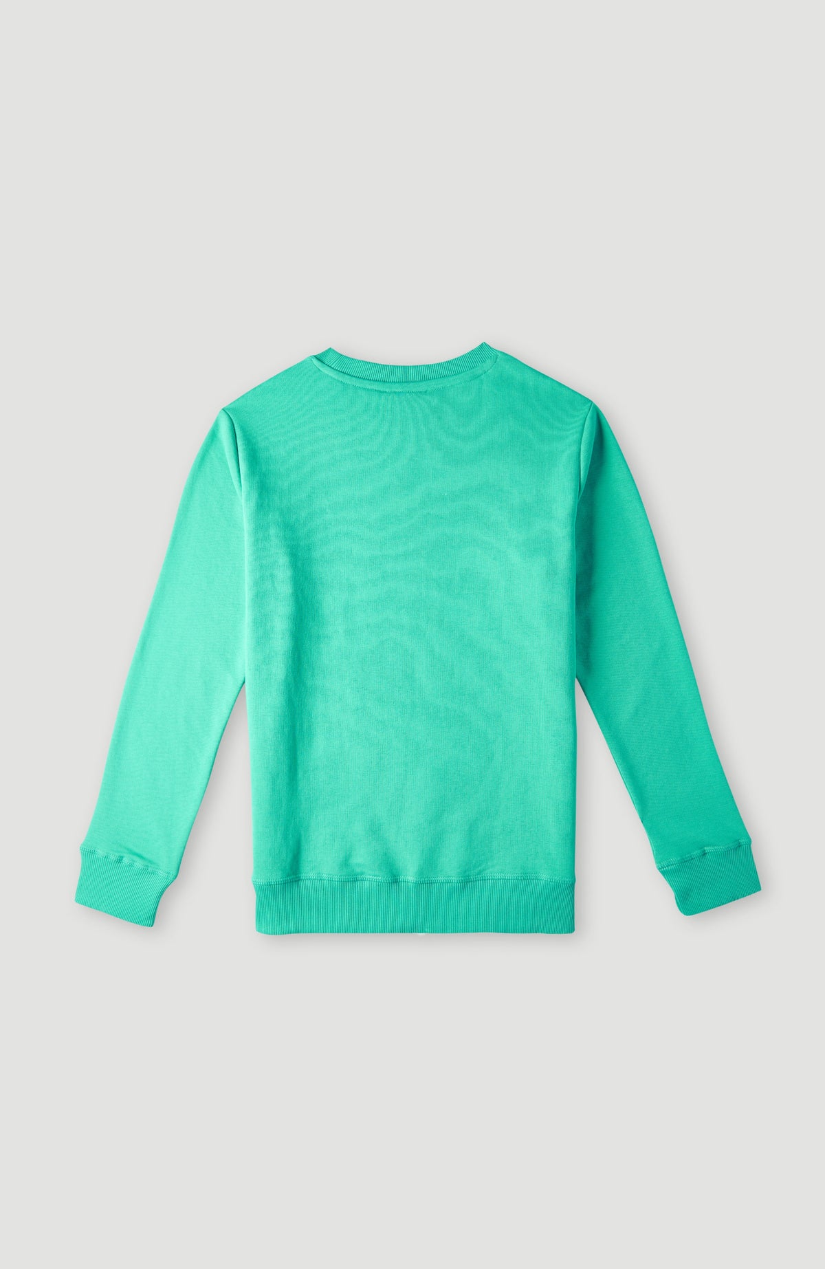 O'Neill Logo Crew sweater | Sea Green