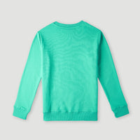O'Neill Logo Crew sweater | Sea Green
