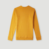 O'Neill Logo Crew sweater | Nugget