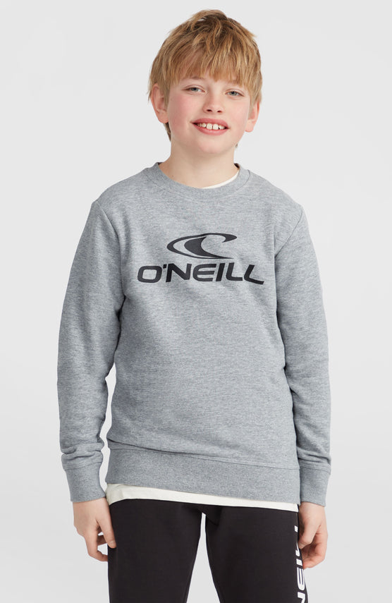 O'Neill Logo Crew sweater | Silver Melee