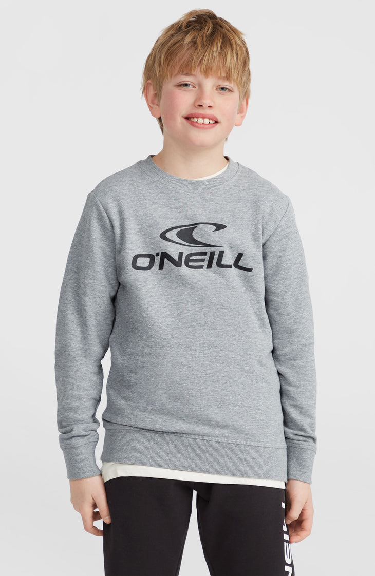 O'Neill Logo Crew sweater | Silver Melee