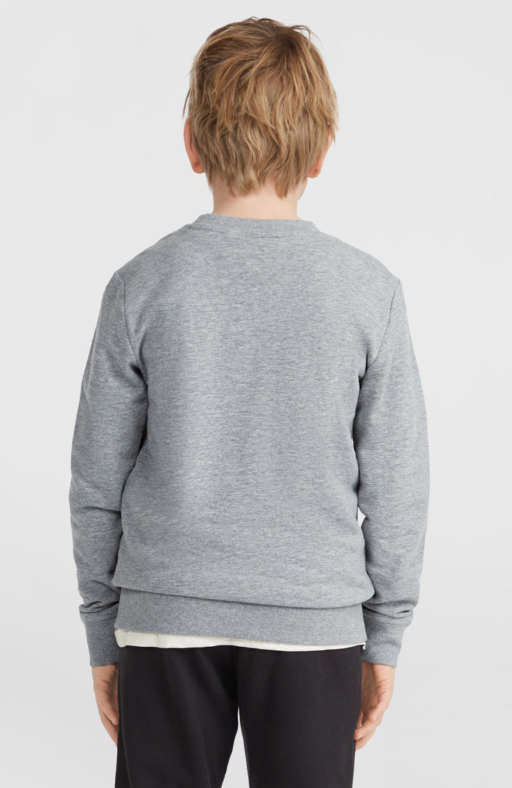 O'Neill Logo Crew sweater | Silver Melee