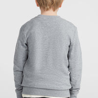 O'Neill Logo Crew sweater | Silver Melee