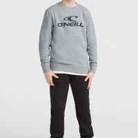 O'Neill Logo Crew sweater | Silver Melee