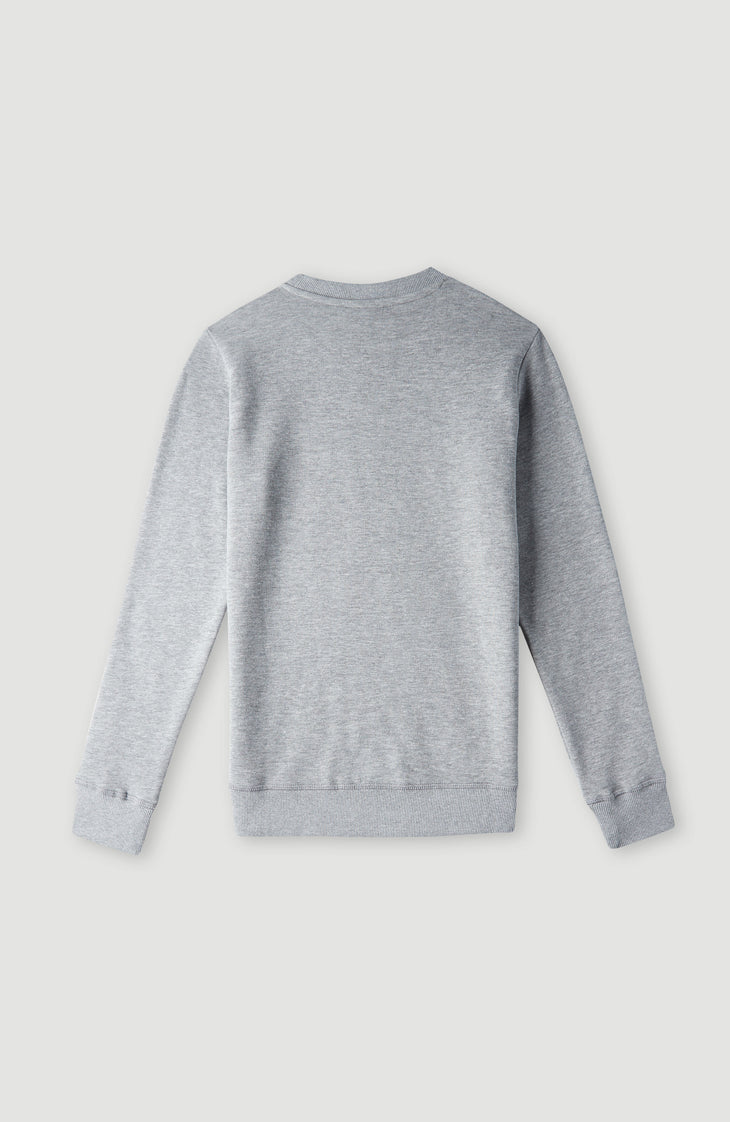 O'Neill Logo Crew sweater | Silver Melee