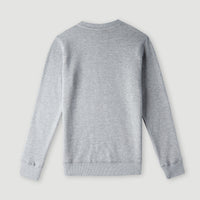 O'Neill Logo Crew sweater | Silver Melee