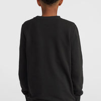 O'Neill Logo Crew sweater | Black Out