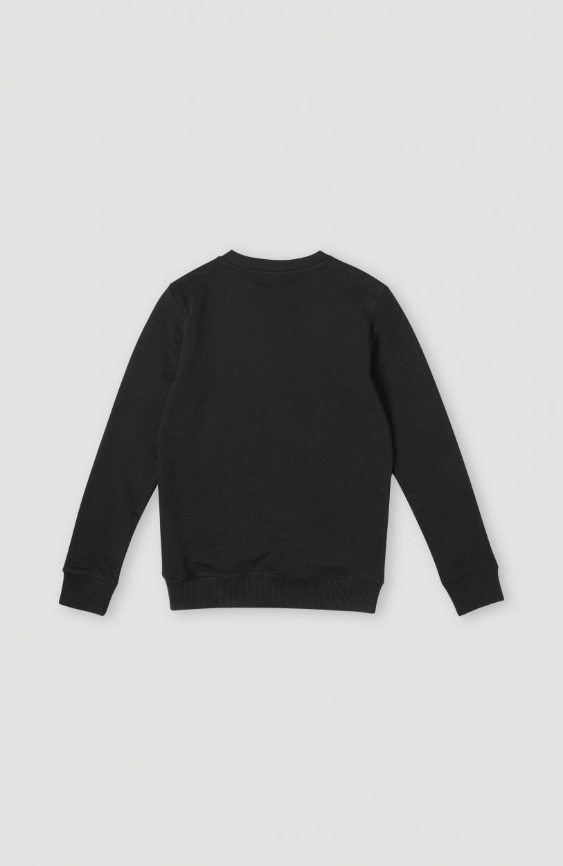 O'Neill Logo Crew sweater | Black Out