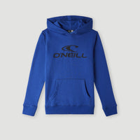 O'Neill Logo hoodie | Surf the web Blue