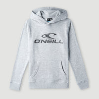 O'Neill Logo hoodie | Silver Melee