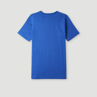 O'Neill Wave T-shirt | Surf the web Blue