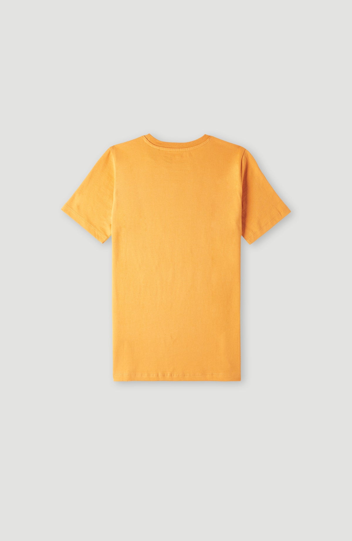 O'Neill Wave T-shirt | Nugget