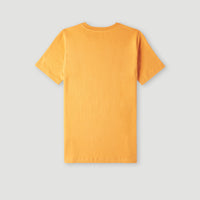 O'Neill Wave T-shirt | Nugget