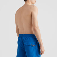 Vert Swim Short | Victoria Blue