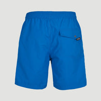 Vert Swim Short | Victoria Blue