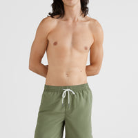 Vert Swim Short | Deep Lichen Green