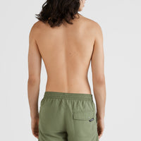 Vert Swim Short | Deep Lichen Green