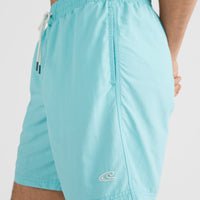 Vert Swim Short | Aqua Spalsh