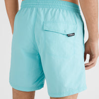 Vert Swim Short | Aqua Spalsh