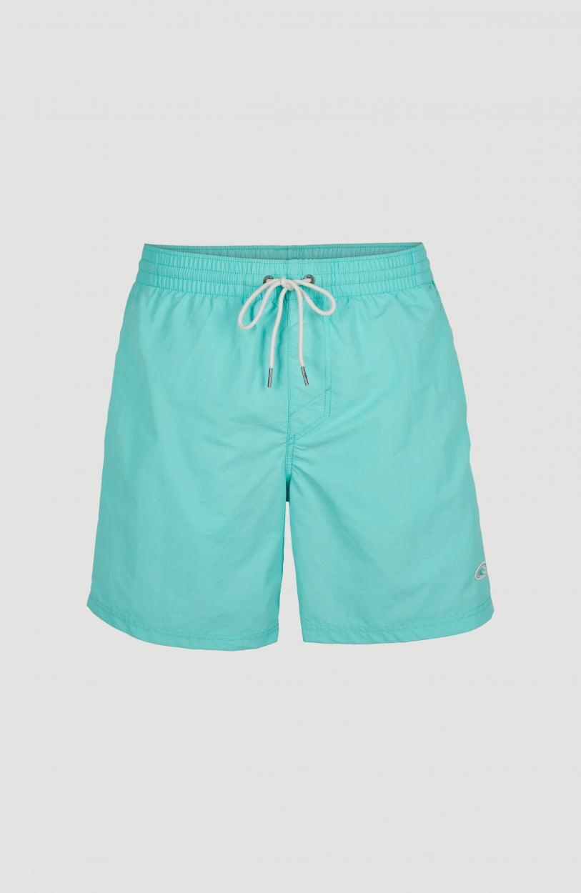 Vert Swim Short | Aqua Spalsh