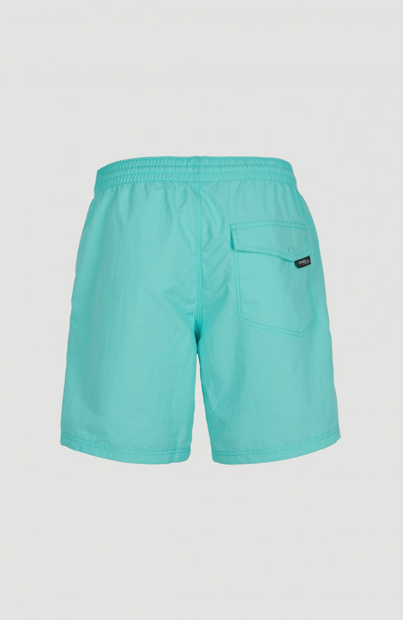 Vert Swim Short | Aqua Spalsh