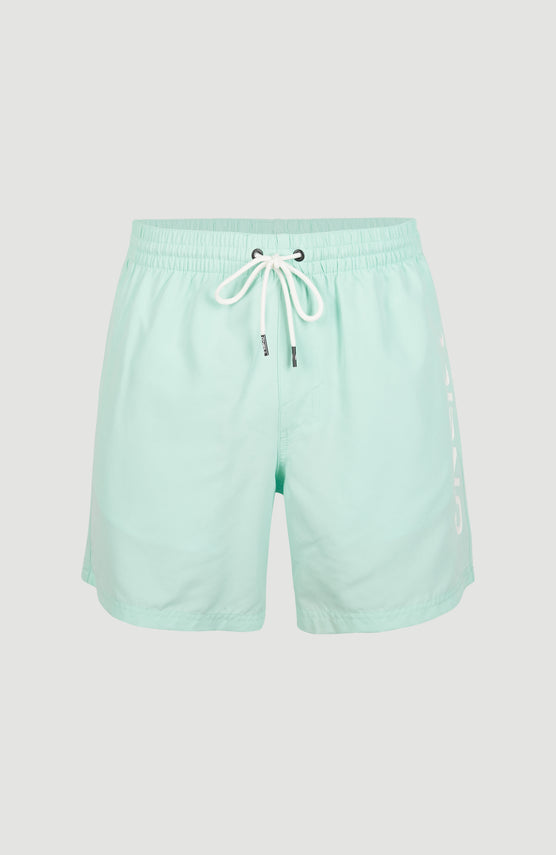 Cali Swim Short | Beach Glass