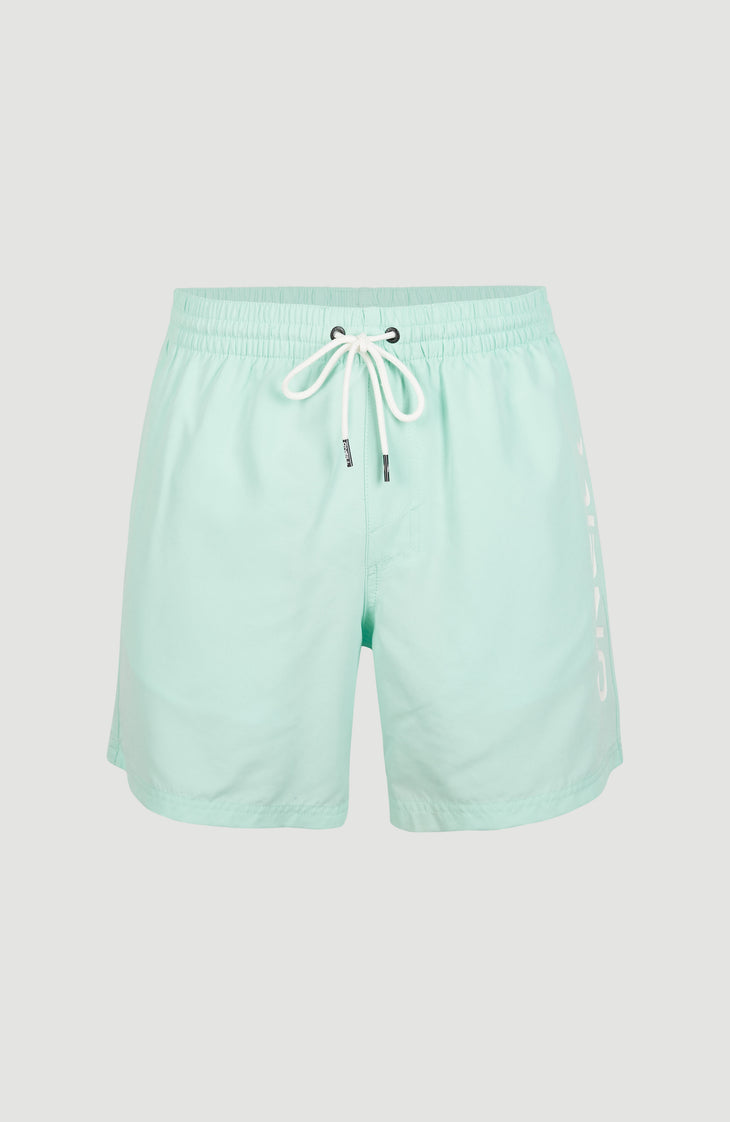 Cali Swim Short | Beach Glass