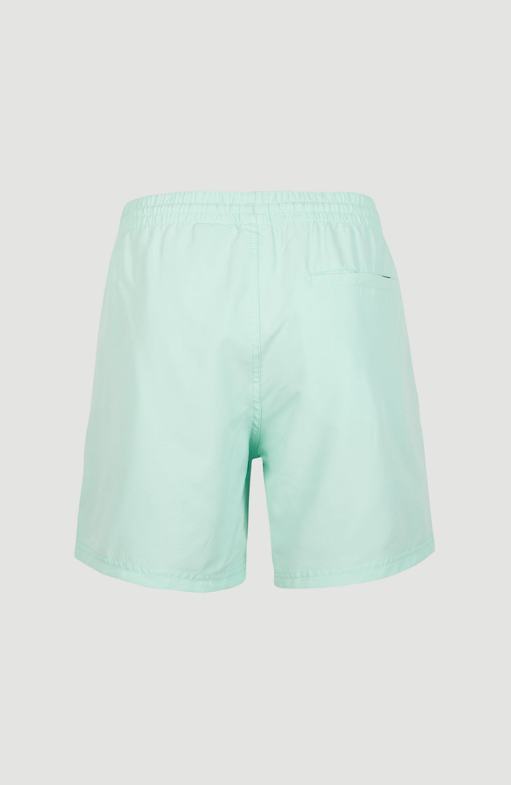 Cali Swim Short | Beach Glass