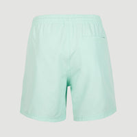 Cali Swim Short | Beach Glass