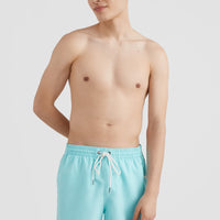 Cali Swim Short | Aqua Spalsh