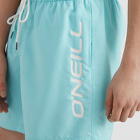 Cali Swim Short | Aqua Spalsh