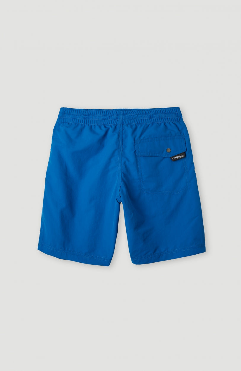 Vert Swim Short | Victoria Blue