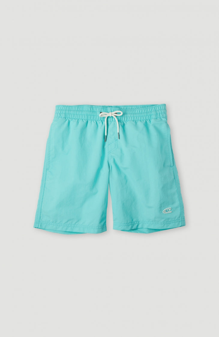 Vert Swim Short | Aqua Spalsh