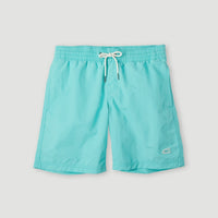 Vert Swim Short | Aqua Spalsh