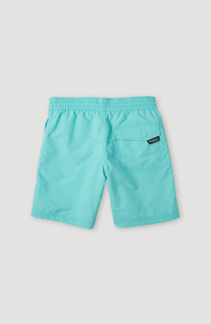 Vert Swim Short | Aqua Spalsh